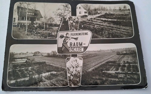 Heddesheim fleckensteins - heddesheim,,