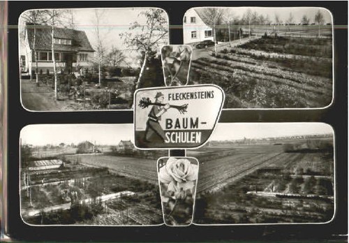 Heddesheim baden baumschule - baden,