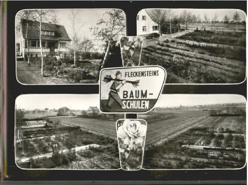 Heddesheim baden - heddesheim,