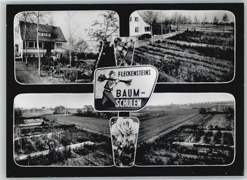 Heddesheim baden fleckensteins - baden,
