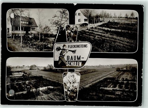39660555 6805 heddesheim - -,
